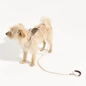 Set Río forest (Collar- Correa - Pañuelo)