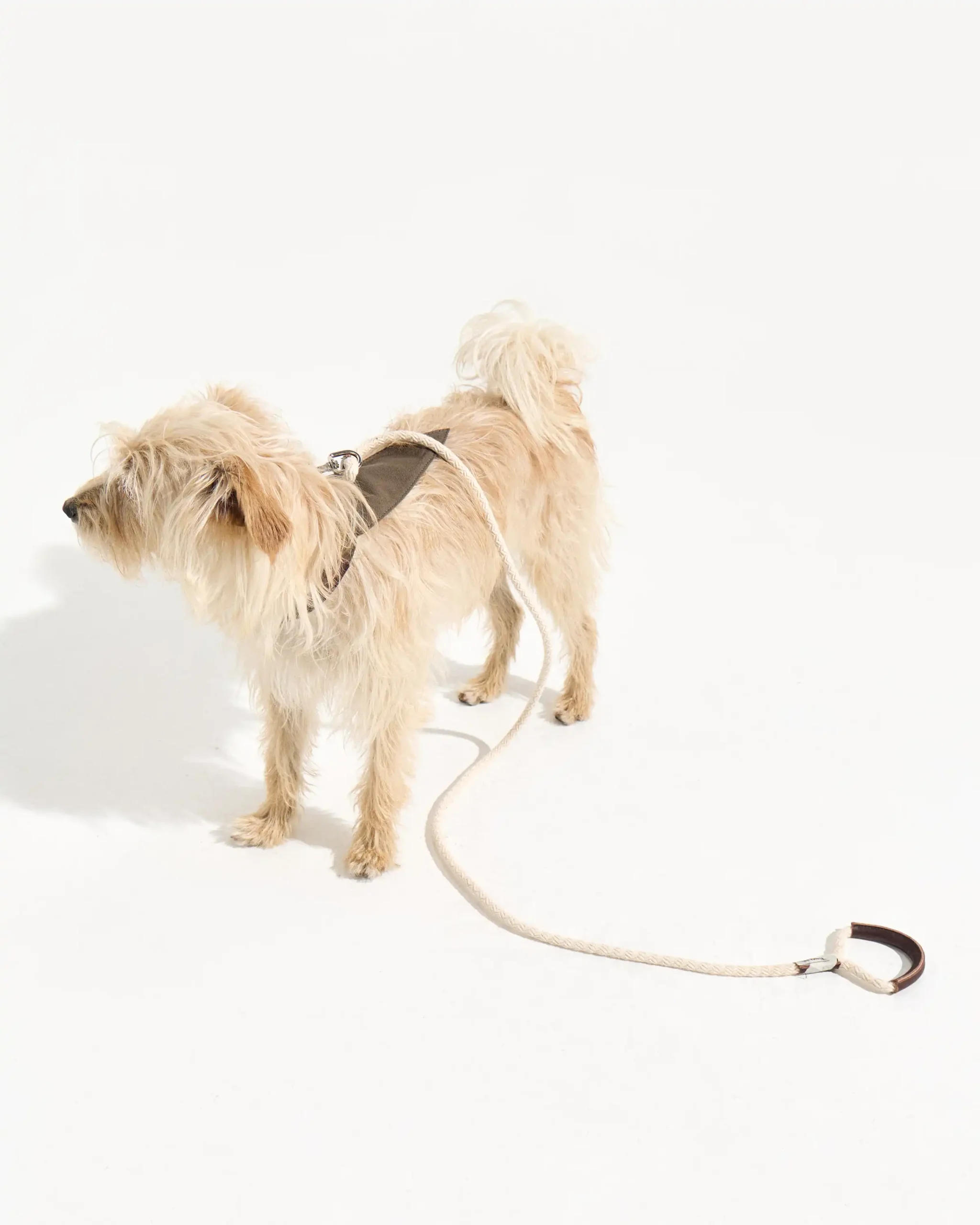 Set Río forest (Collar- Correa - Pañuelo)